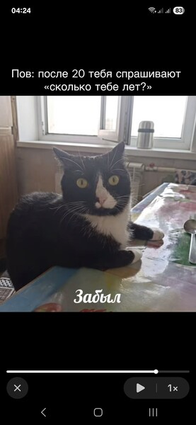 Avatar