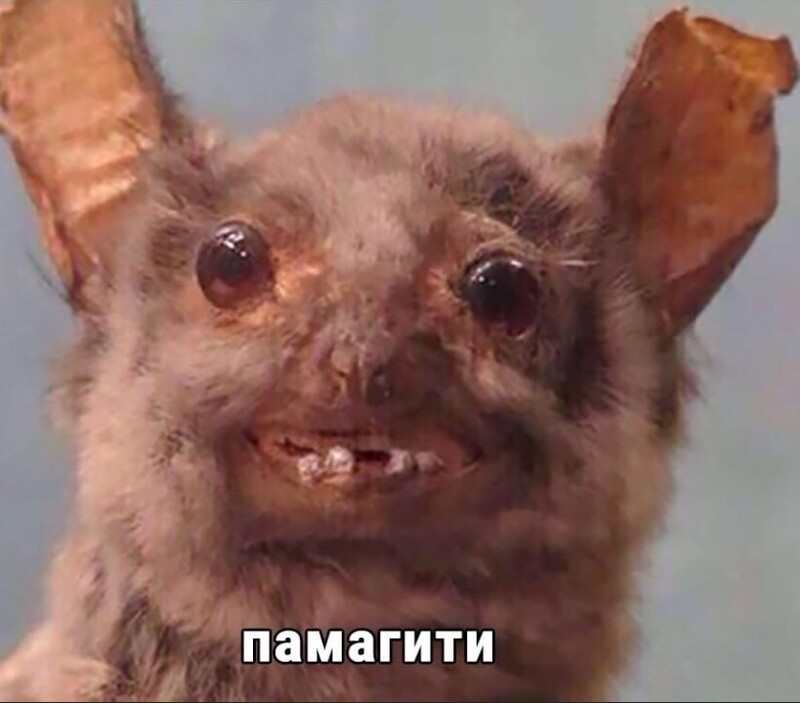 Аватар Глеб