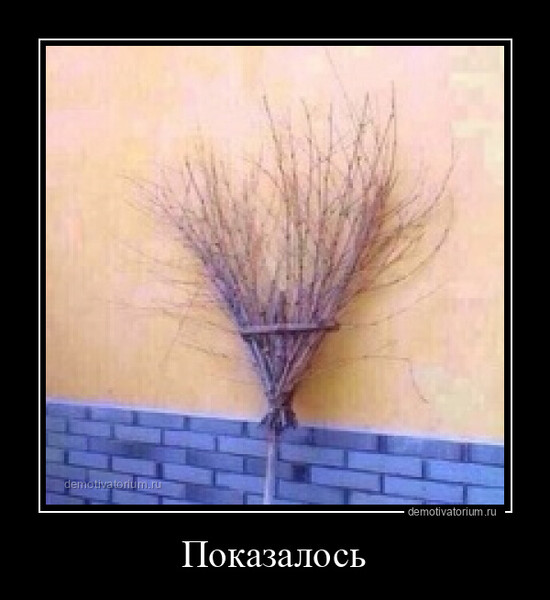windowss