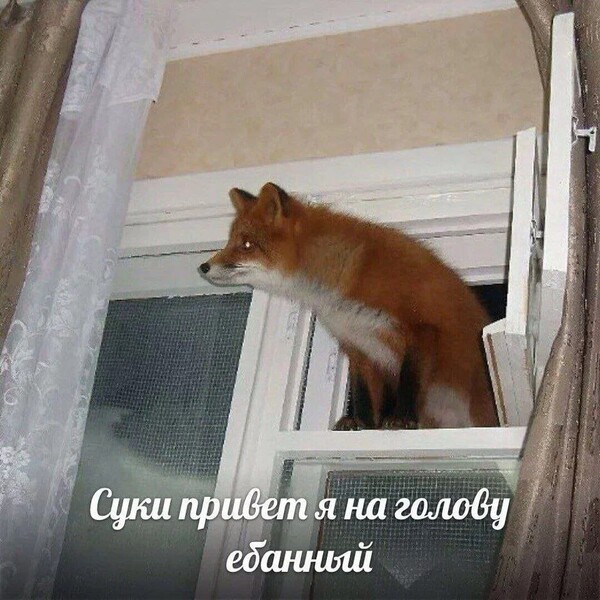 MaelUvU