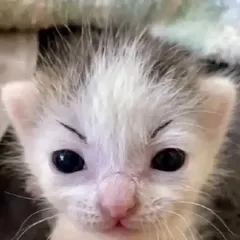 YUMMUAN