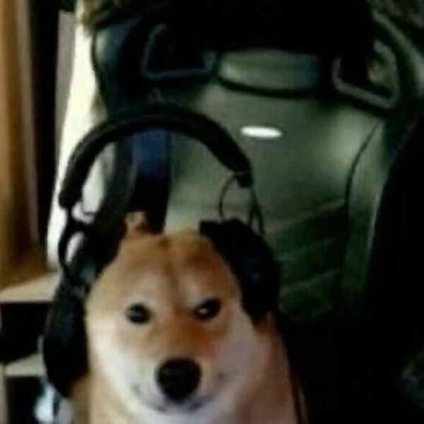 Dogeff
