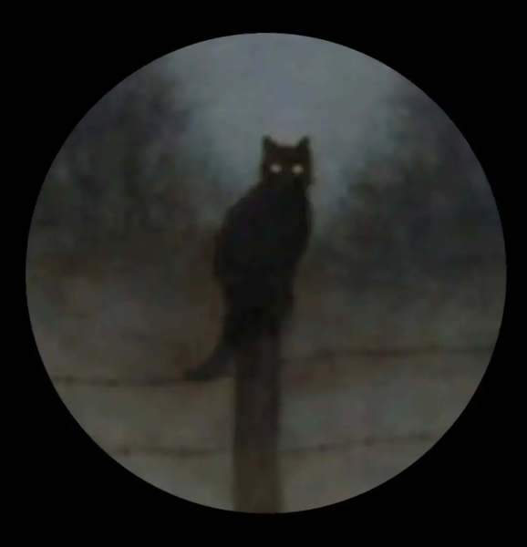SiMUR