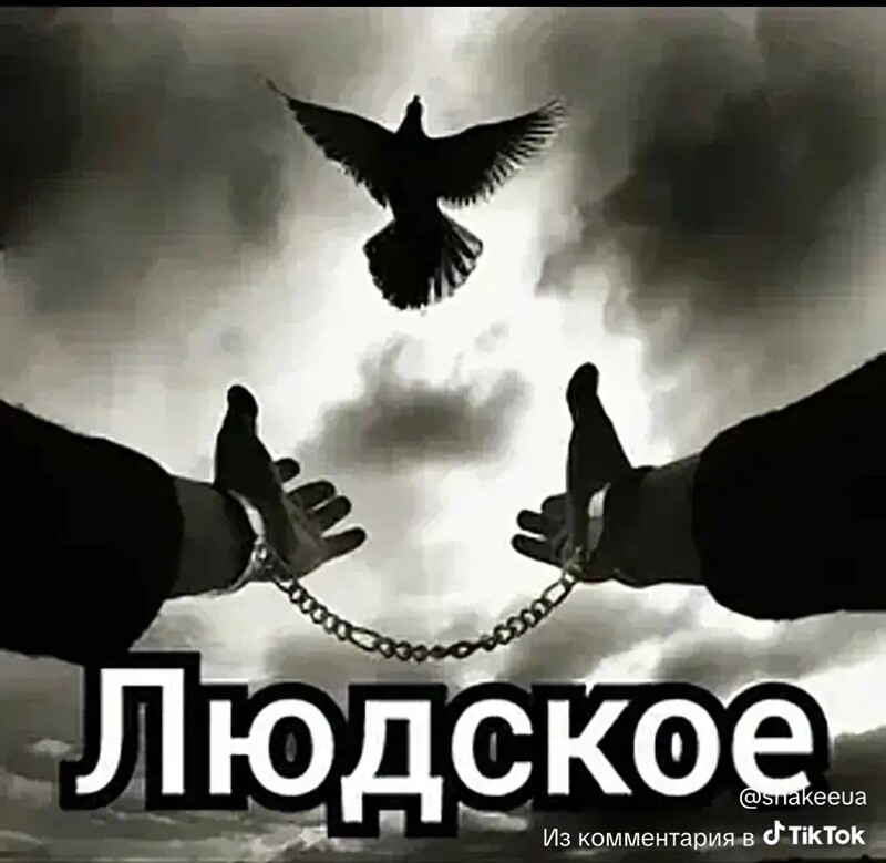 Аватар Максим