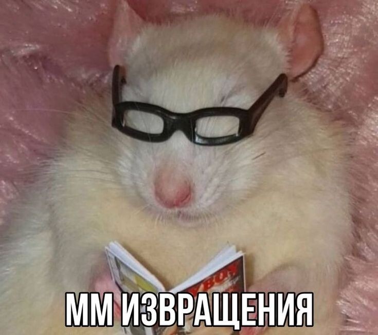 Аватар Фростяпа