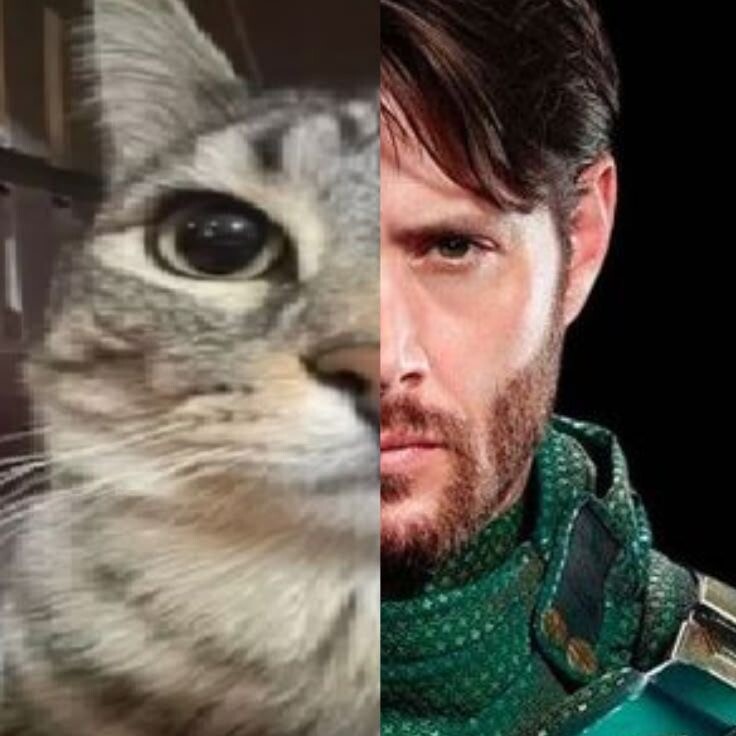 Avatar