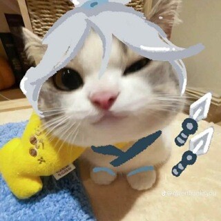 Avatar
