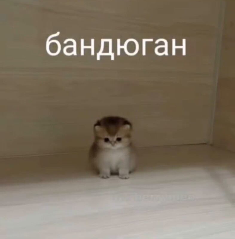 scxrlk