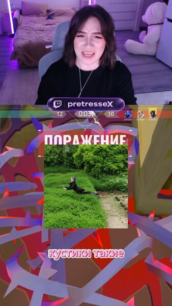 твич pretresseX // тгк pretresse_x