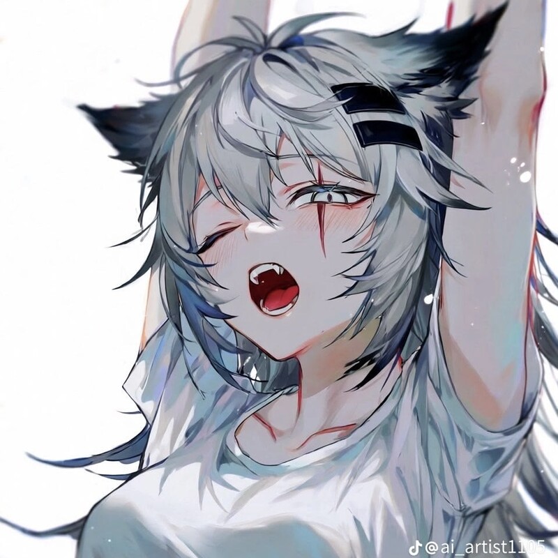 ToraSu