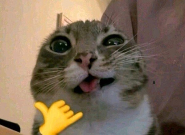 heyohsnow