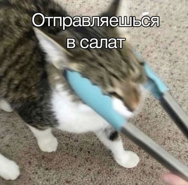 Who Knows
