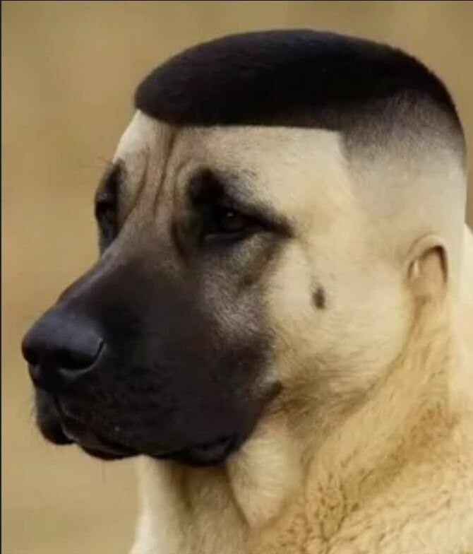 Никита