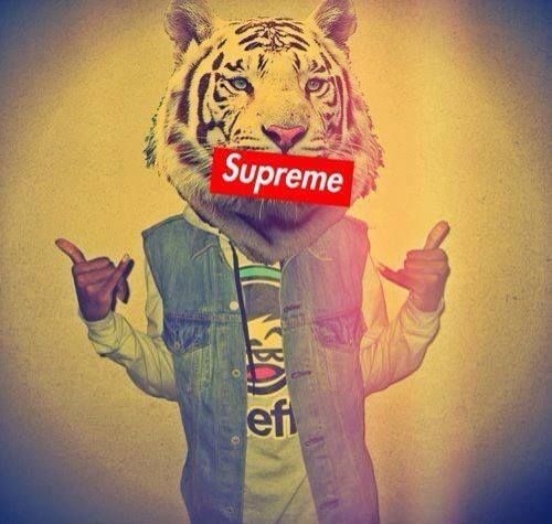 ✌🏻