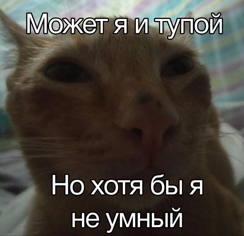 Обложка Rainy_Star666