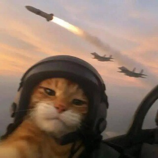 Аватар Ramez