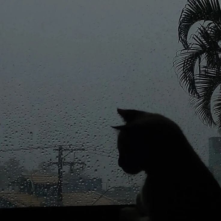 Аватар The sad prince.