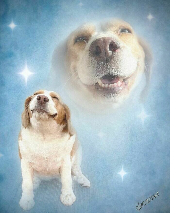 лихие девяностые