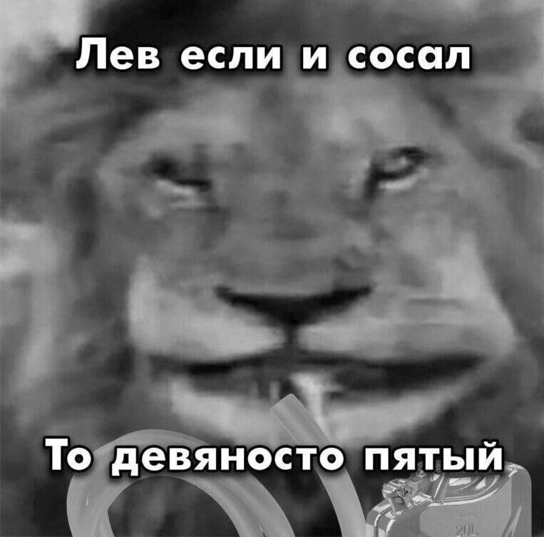 Аватар Арсений