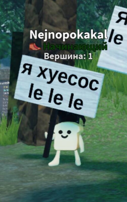 Euthanasia143
