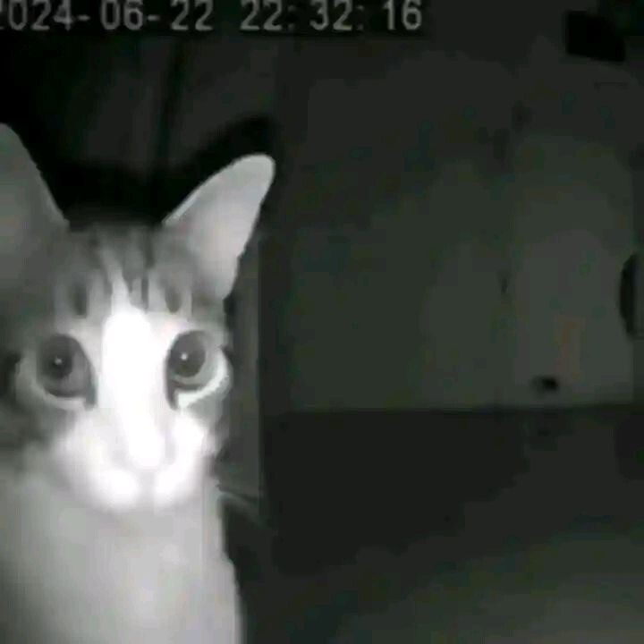 Аватар Даша