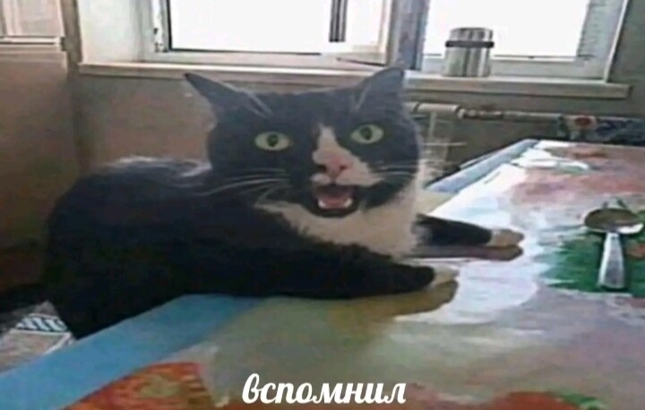Аватар Pavlo