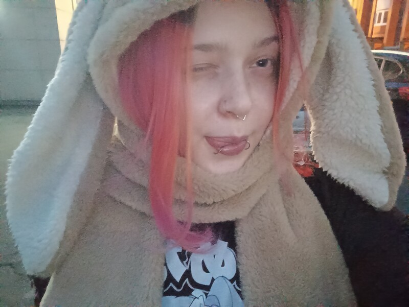 kotik