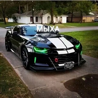 Avatar