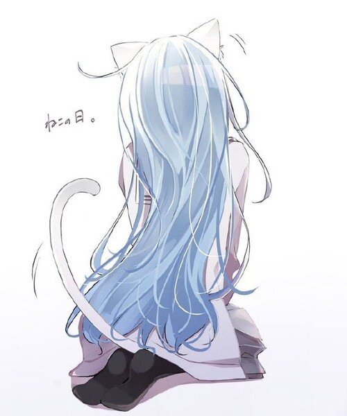 swf