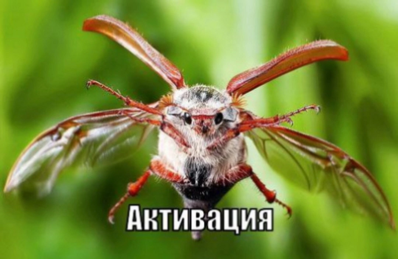 Аватар dristoslave