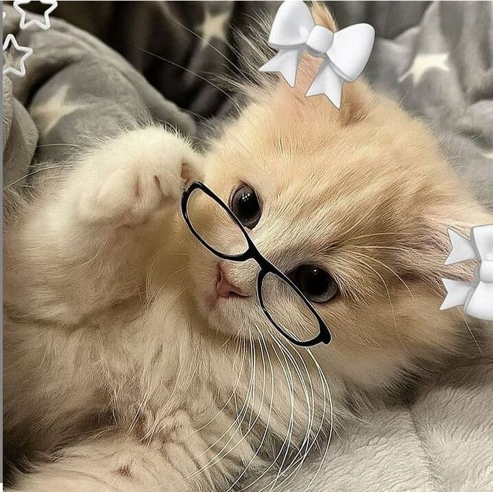 Аватар Ника