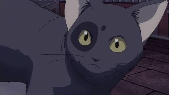 deryte