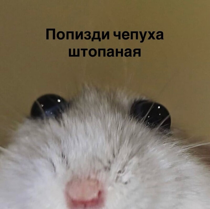 МиLoсть_76