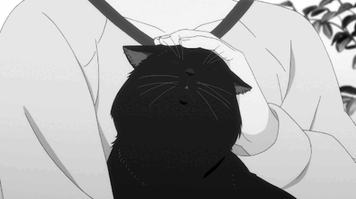 Meowra