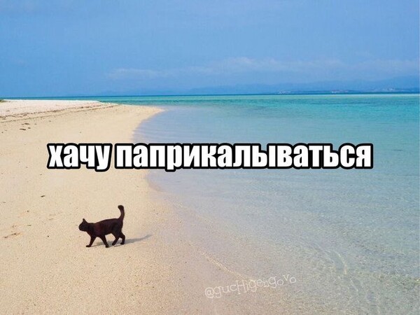 моментик со старой нарезочки