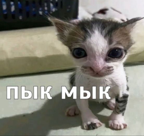 ну я даже не знаю чо залить