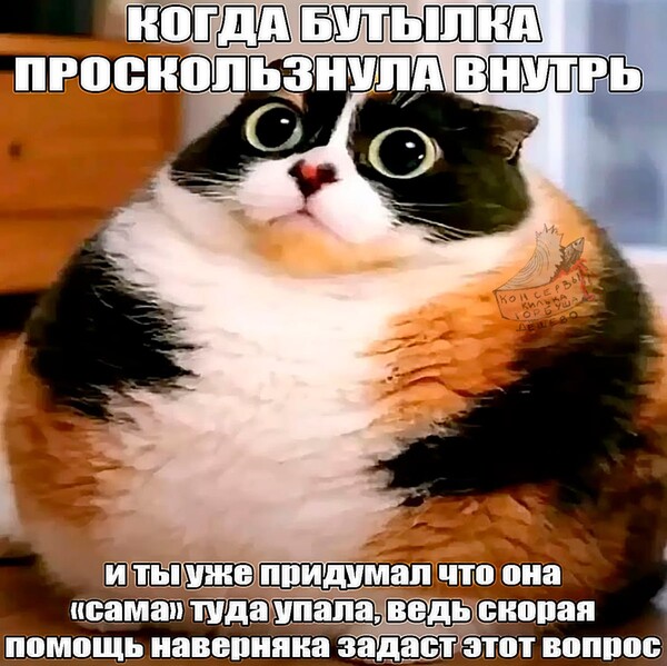 короче у меня была катка на абиссе, где я 2 шашлыка подряд сделал с опика и не записал бля обидно ; (( я буду вести эту соцсеть подписывайтесь ставьте лайки