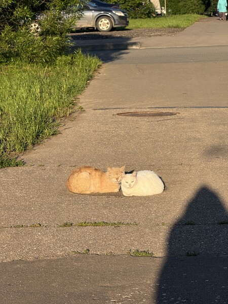 эйс и моральная поддержка в виде моей дуо 💞