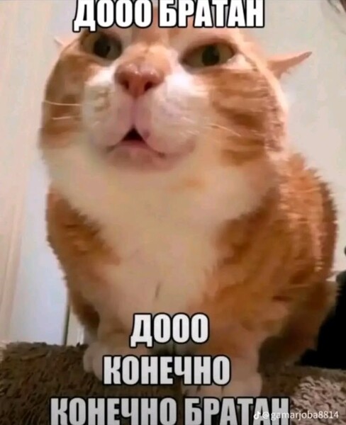 Ебать я красавчик