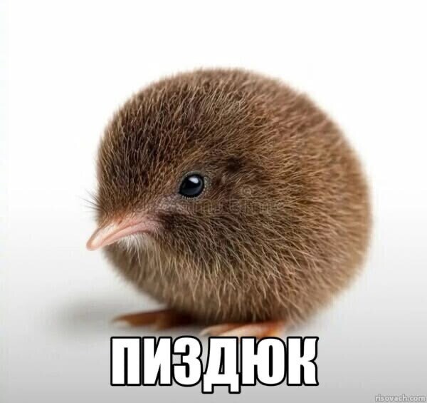 Аватар Зефир