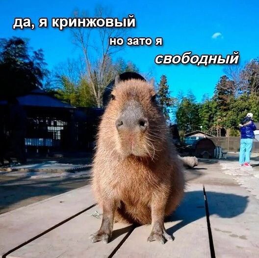 Виталий А.