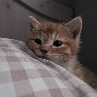 Grafskiy