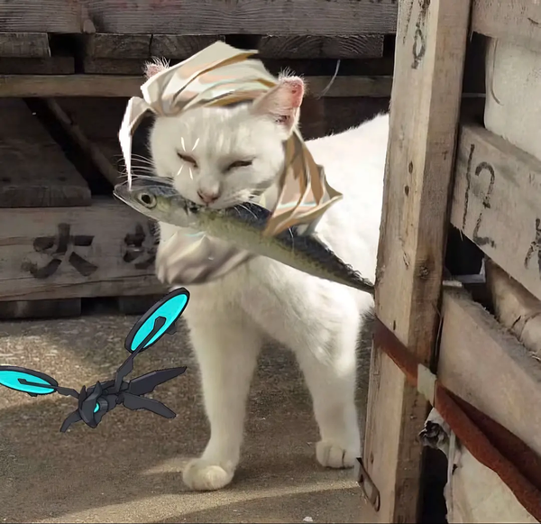 Avatar