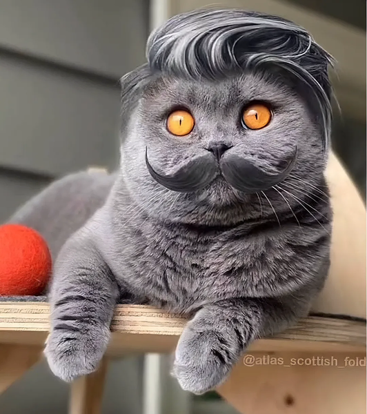 Avatar