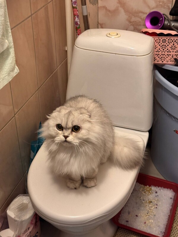 СКВиРТ