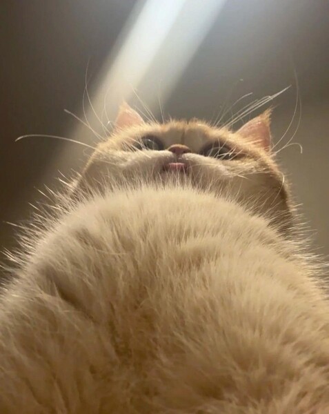 ♡
