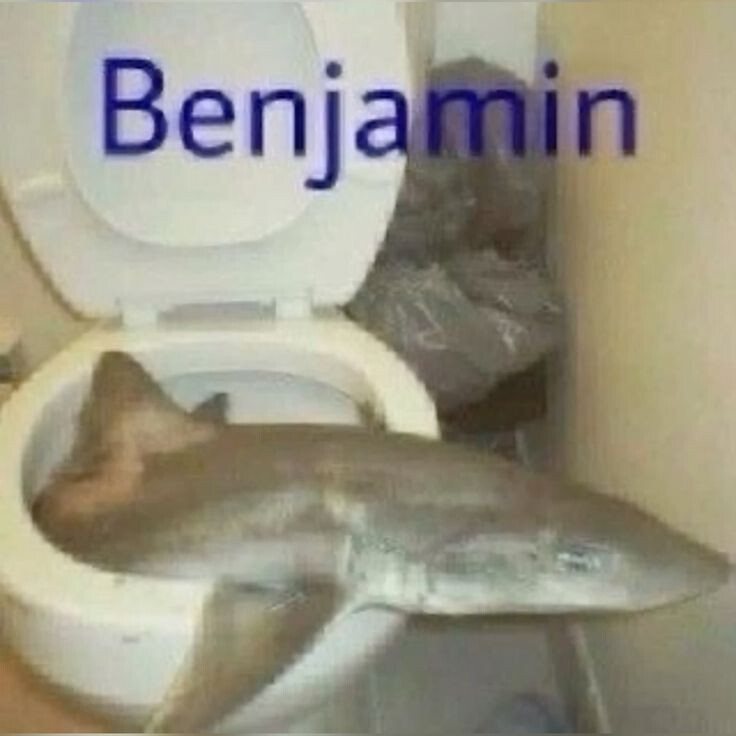 созяин хызрани