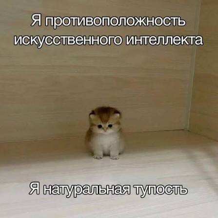 Стеша
