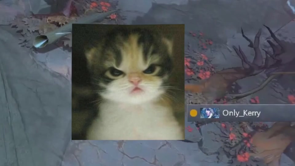 Yt:zverog