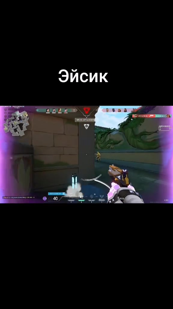 Красота)